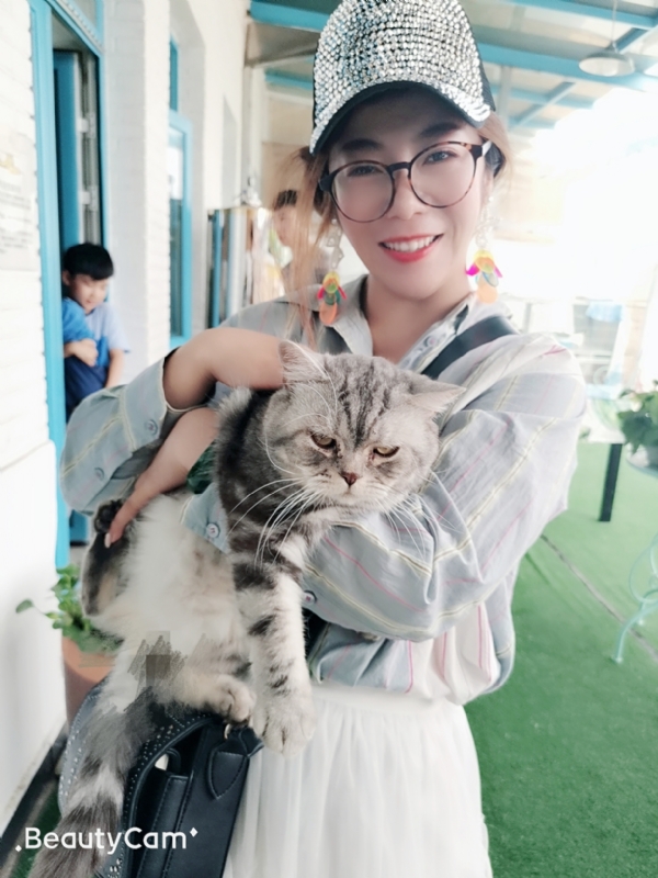 小黑猫的第一张照片--寿宁交友网