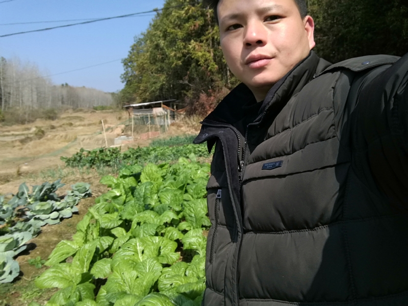 倔强的驴的第一张照片--寿宁交友网