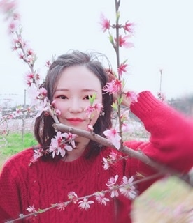 小桌子的第一张照片--寿宁交友网