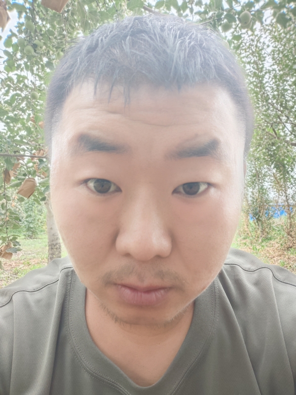 明天的第一张照片--寿宁交友网