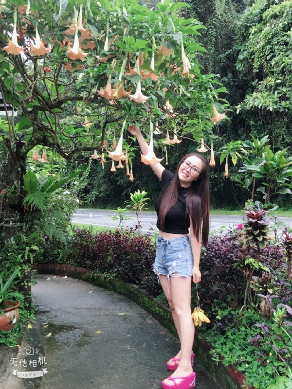 离异单身无子的第二张照片--寿宁交友网