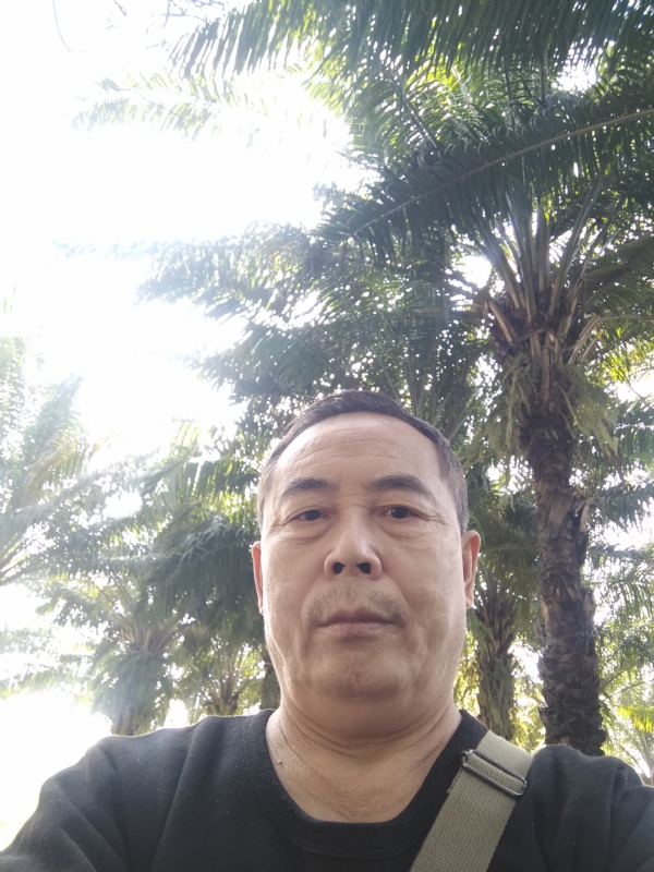 重振雄风的第二张照片--寿宁交友网