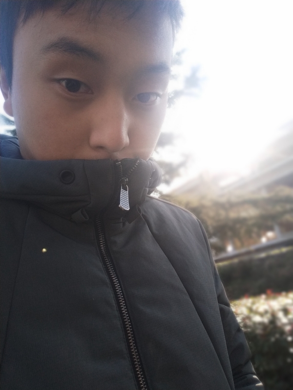 落幕的第一张照片--寿宁交友网