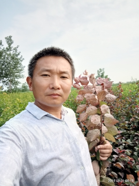 孩子爸的第一张照片--寿宁交友网