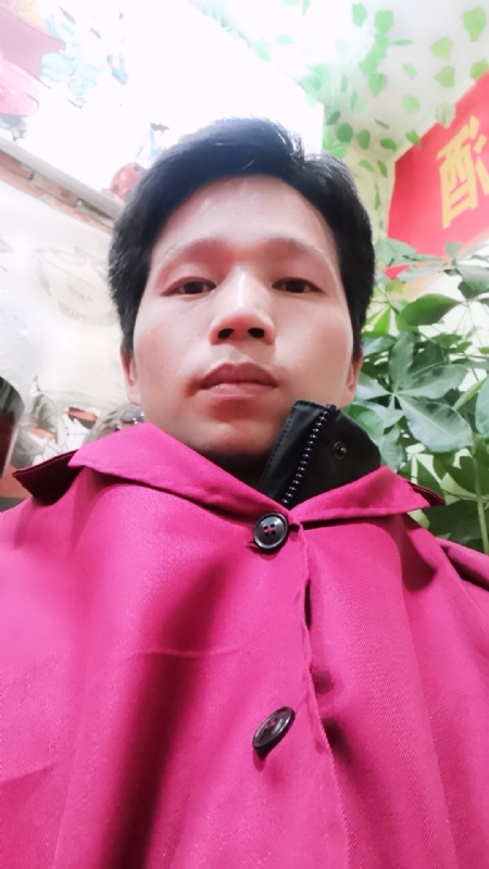 单身的林凡的第一张照片--寿宁交友网