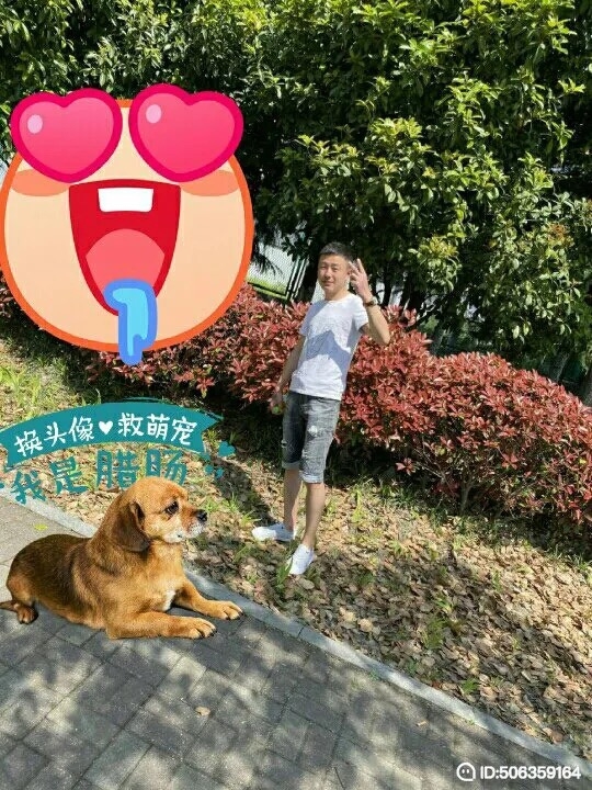 我若不坚强谁替我勇敢的第五张照片--寿宁交友网