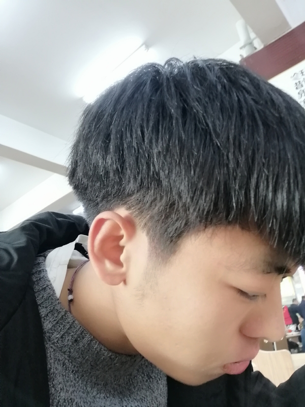 花开落叶之后的第一张照片--寿宁交友网