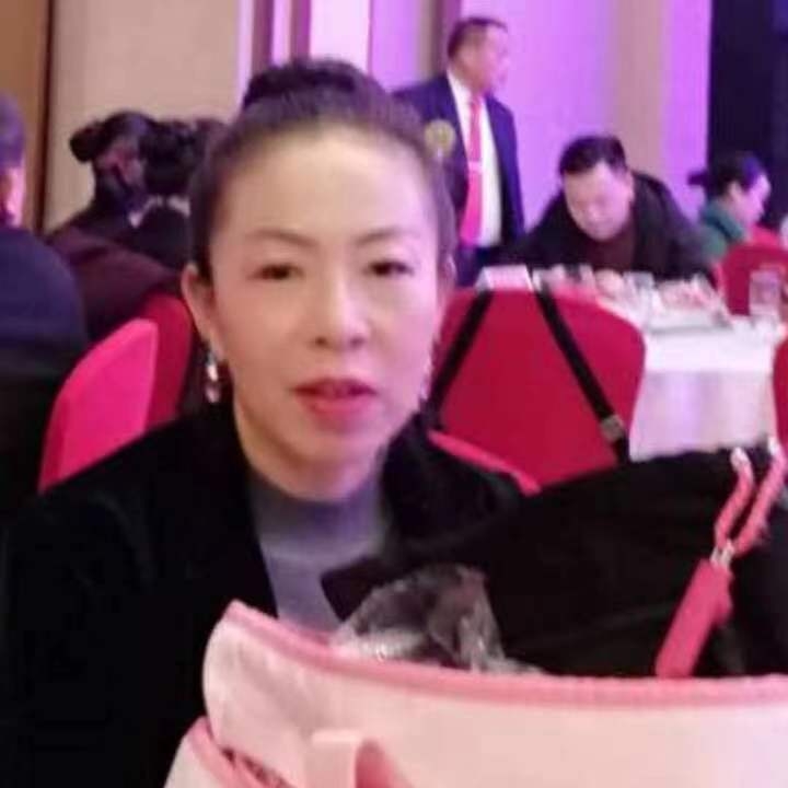中秋桂花玉兔的第四张照片--寿宁交友网