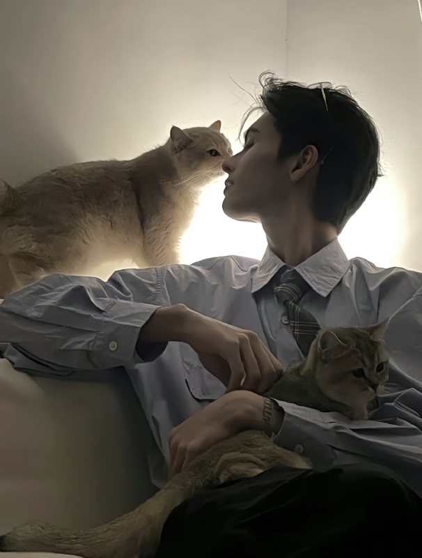 怪猫的第一张照片--寿宁交友网